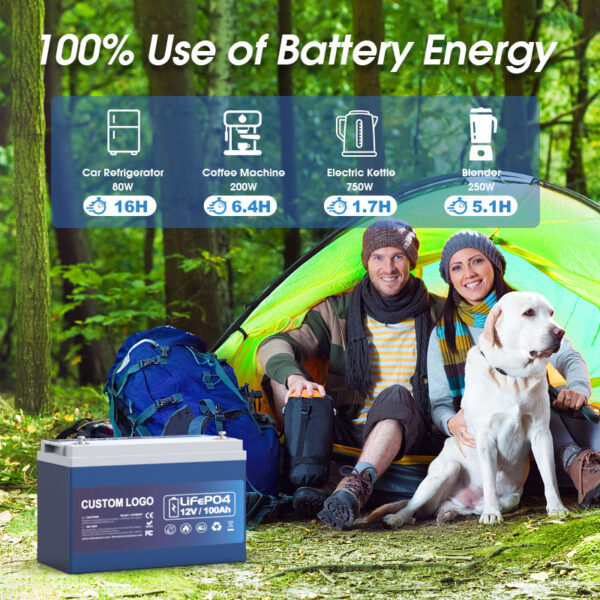 Аккумулятор 12v 100ah 200ah глубокого цикла Lifepo4