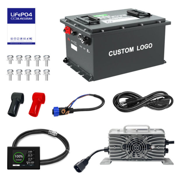 Пользовательский аккумулятор Bluetooth LiFePO4