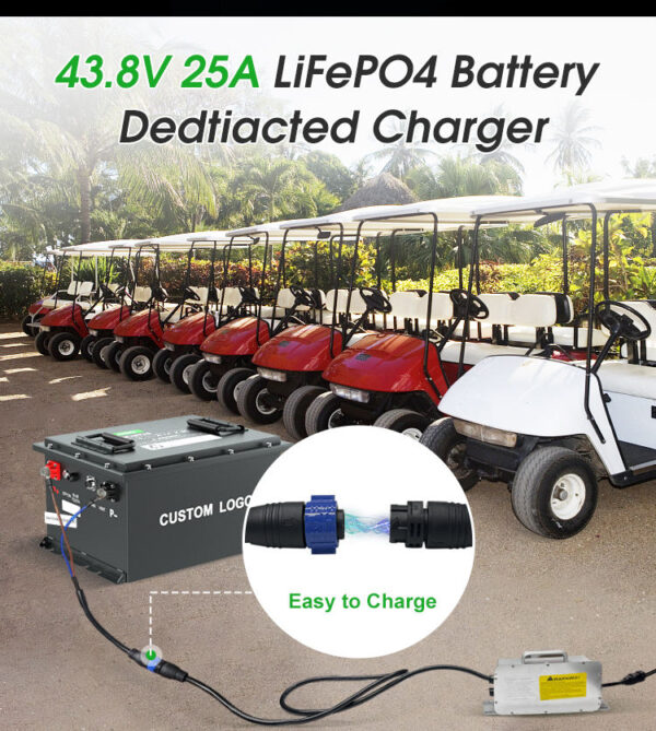 Пользовательский аккумулятор Bluetooth LiFePO4