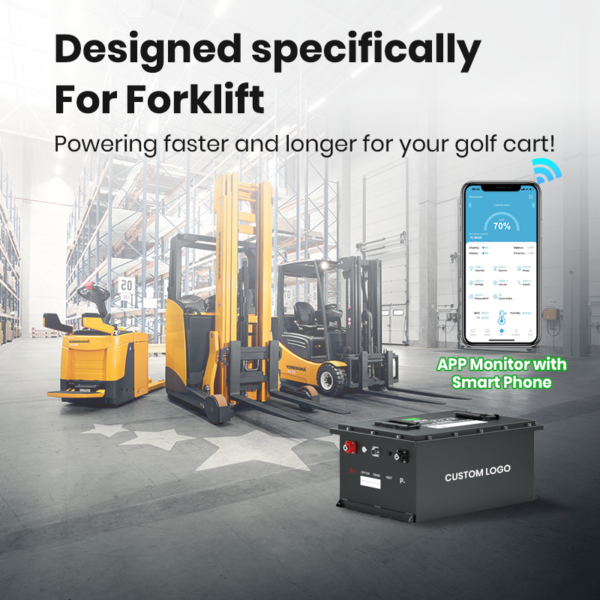 Fabrikspezifische 51.2V Lifepo4 Batterie