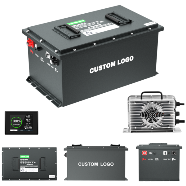 Fabrikspezifische 51.2V Lifepo4 Batterie