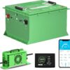 Batteria del carrello di golf 48V 51.2V 100Ah 105Ah batteria LiFePO4