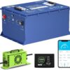 Batteria del carrello di golf 48V 51.2V 100Ah 105Ah batteria LiFePO4