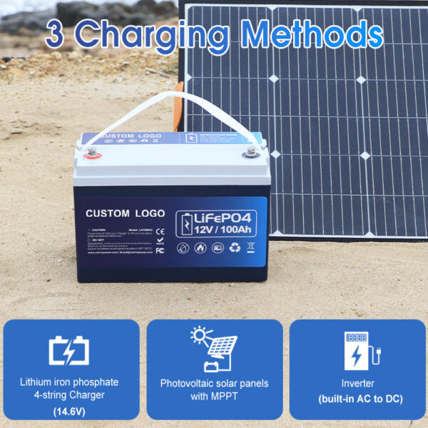 ODM Supply 12v 100ah Lifepo4 Battery