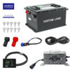 Lifepo4 Battery for Club Car Golf Cart
